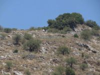 Achaia - Tripotama - Ancient Psofis - Acropolis
