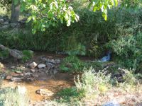 Achaia - Priolithos - Small creek