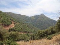 Achaia - Kandalos - Forest Road to Lagovouni - Castle