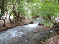 Achaia - Aroanios River