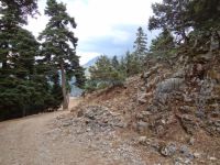 Achaia - Arbounas - Dirty Road to Papoulako's Monastery