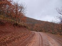 Achaia - On Route to Makellarias Monastery