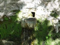 Achaia - Kalavrita - Souvardo - Fountain 