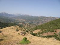 Achaia - Off-Road path to Drosato