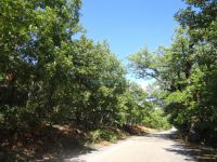 Achaia - Megalos Pontias - Route to Neochori