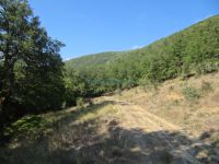 Achaia - Ortholithi - Off road path