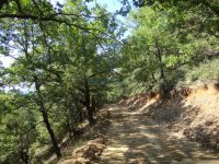 Achaia - Ortholithi - Off road path