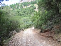 Achaia - Kalavrita - Path to Kato Zachlorou