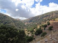Achaia - Route Plataniotissa to Skepasto