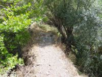 Achaia - Route Plataniotissa to Skepasto - Old Stone Bridge