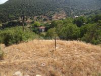 Achaia - Kameniani - Archeological Site
