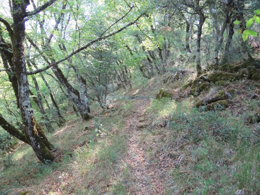 Achaia - Sopoto - Path to Profitis Ilias