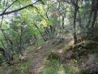 Achaia - Sopoto - Path to Profitis Ilias