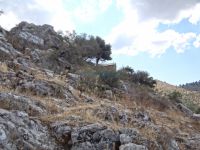 Achaia - Agridi - Castle - Assumption