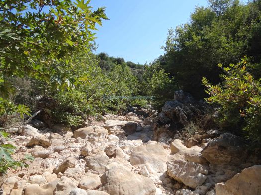 Achaia - Trafou Canyon