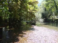 Achaia - Ladon River