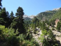 Achaia - Agrabela - Mountain Path