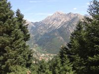Achaia - Agrabela - Mountain Path