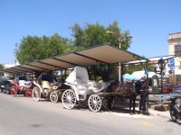 Argosaronikos- Aigina-Horse carriage