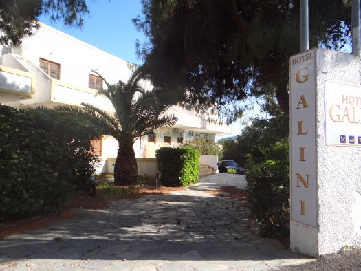 Argosaronikos- Aigina-Galini Hotel