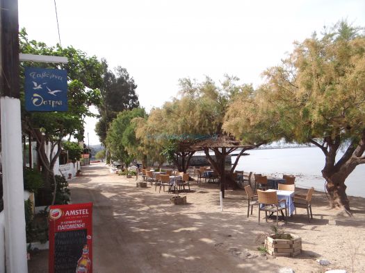 Argosaronikos- Aigina- Ostria tavern