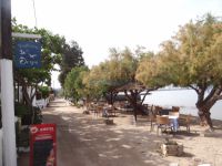 Argosaronikos- Aigina- Ostria tavern