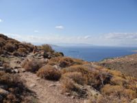 Argosaronikos - Aegina - Sfentouri - Paths 1 and 2