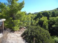 Argosaronikos - Aegina - Mesagros - Path 9