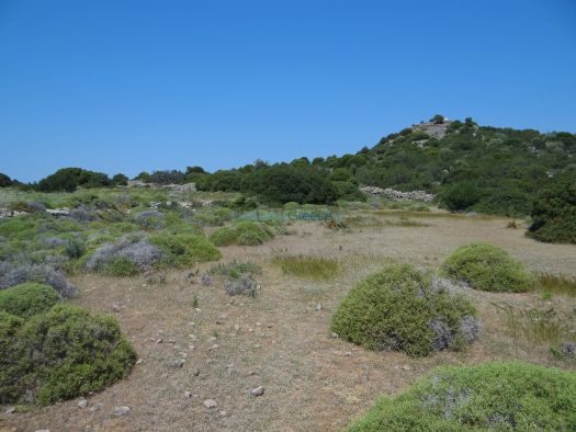 Argosaronikos - Aegina - Plateau to Saint Andreas