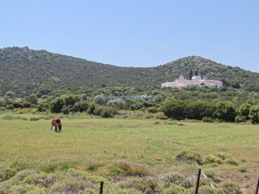 Argosaronikos - Aegina - Grass Field