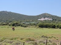 Argosaronikos - Aegina - Grass Field