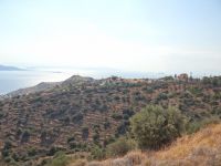 Aegina -Tzikides