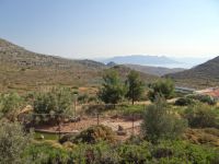 Aegina - Centre for Wildlife