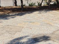 Aegina - Archeological Museum - Jewish Synagogue Mosaic