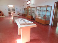 Aegina - Archeological Museum (Kolona's Hill)