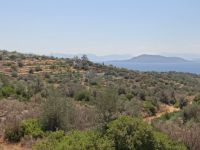 Aegina - Kapotides