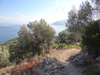 Sporades - Alonissos - Path to Mikros (small) Mourtias