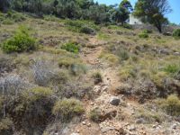 Sporades - Alonissos - Path to Saints Anargiroi