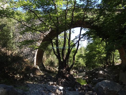 Platanos arch Bridge