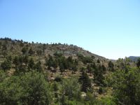 Mycenean Tholos Tombs at Paliochori