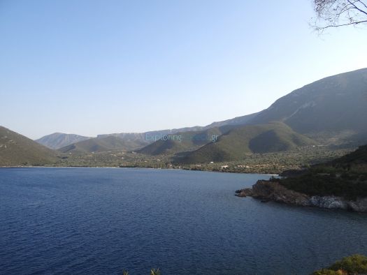 Zaritsi View