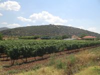 Mantinia Vineyards