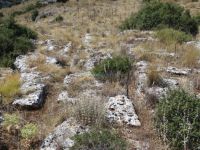 Κάψια - Αρχαίος Αμαξόδρομος