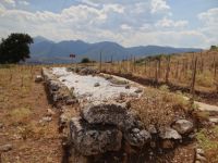 Αρχαίος Ορχομενός - Ιερό Μεσοπολίτιδος Αρτέμιδος
