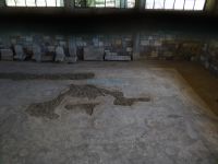 Episkopi's Park - Mosaic Floor