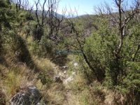 Arkadia - Arachamites - Elissona's River Canyon