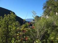 Kaltezes Arkadias - Paleochora - Lagkada's Canyon