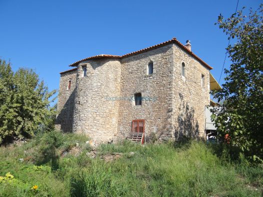 Arkadia - Dareika - Traditional House Tower