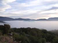 Sunrise in the Mist - From Daphni to Pournaria