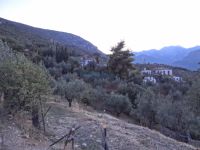 Agios Panteleimonas - Arkadia
